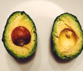 Half, Fruit, Avocado photo