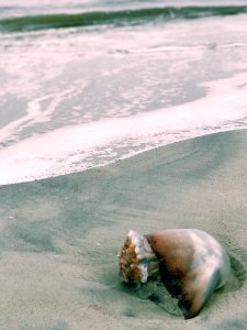 Tybee isl, United states, Water