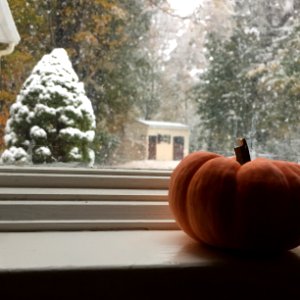 Longmeadow, United states, Window