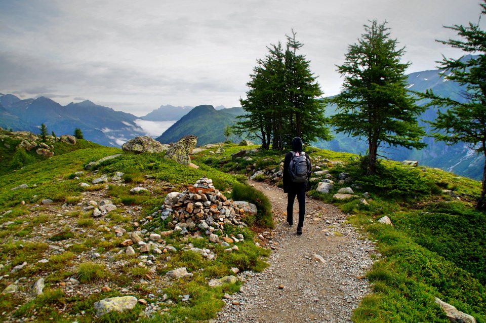 person wearing black leather backpack walking beside green leaf tree