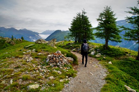 person wearing black leather backpack walking beside green leaf tree