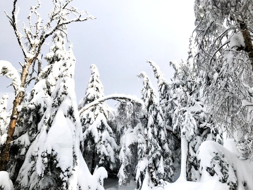 Orford, Canada, Mont orford