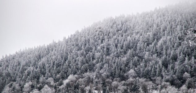 Eastman, Canada