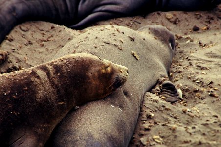 Intothewild, Plage, Westcoast