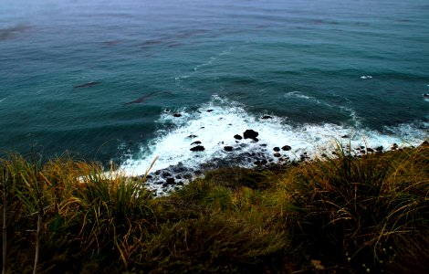sea waves near grass during daytime photo