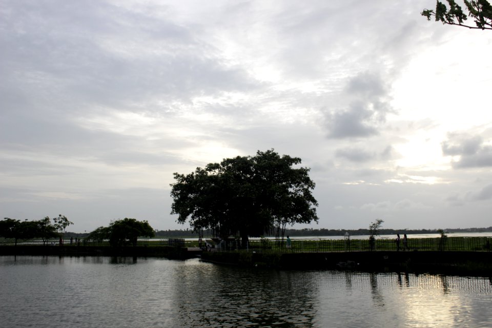 Vasai, India, Silhouette tree