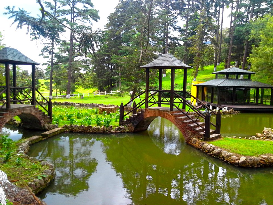Guatemala, Bridge, Trees