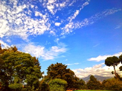 Guatemala, Guatemala city, Nature