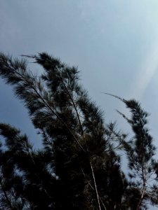 Guatemala city, Guatemala, Sky
