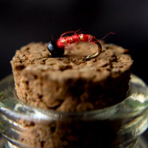 Macro, Detail, Bottle photo