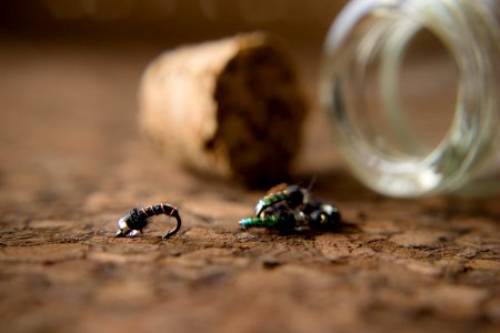 Cork, Bottle, Brown