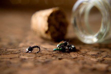 Cork, Bottle, Brown photo