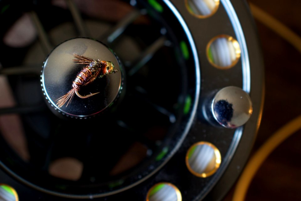 Outdoor sports, Macro, Trout fishing