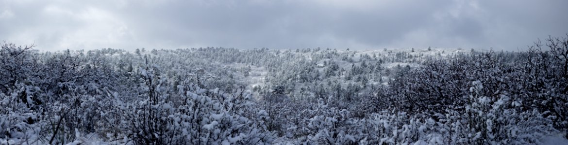 Colorado springs, United states, Snow photo