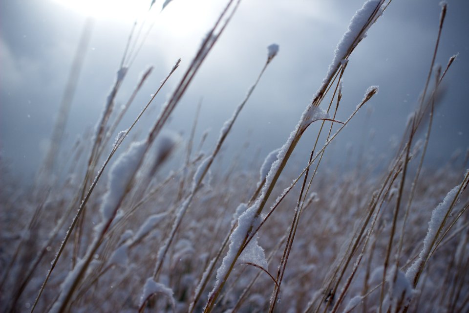 Colorado springs, United states, Cold