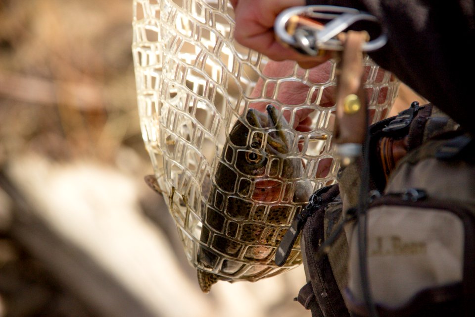 Lake george, United states, Fly fishing
