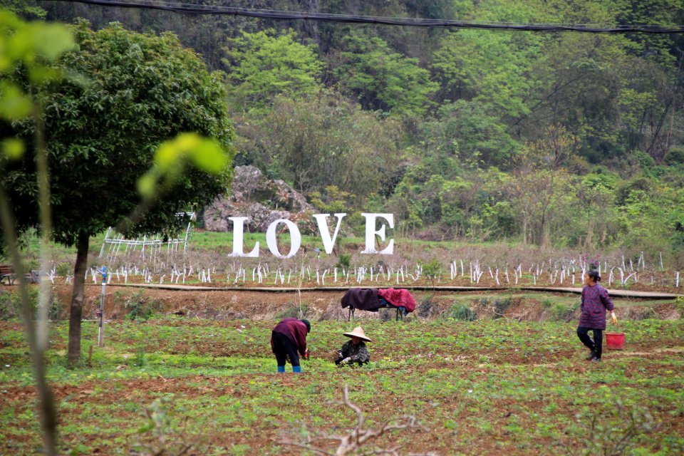 Countryside, Work, Nature