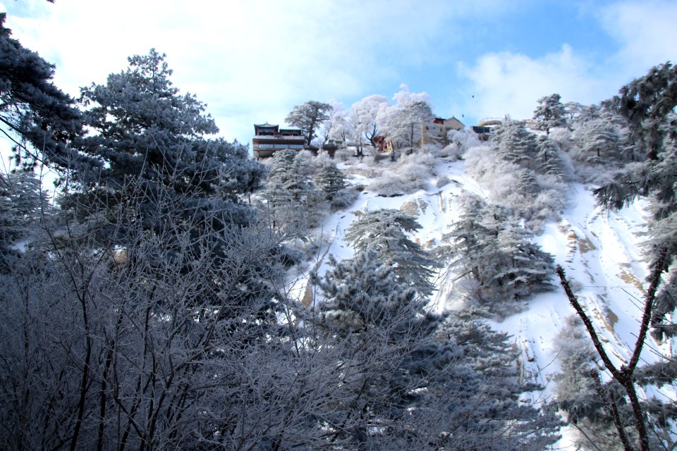 Winter, Snow