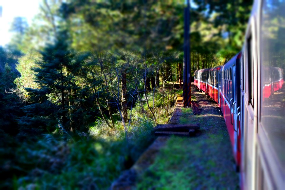 Alishan national forest recreation area, Taiwan, Train