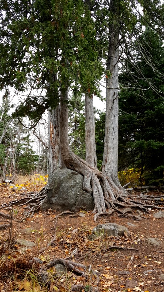 Tettegouche state park, Silver bay, United states