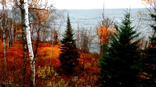 Beaver bay, United states, Autumn photo