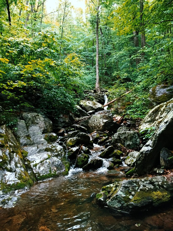 Nature, Three ridges, United states