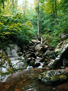 Nature, Three ridges, United states