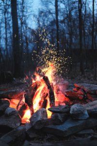 bonfire on forest photo