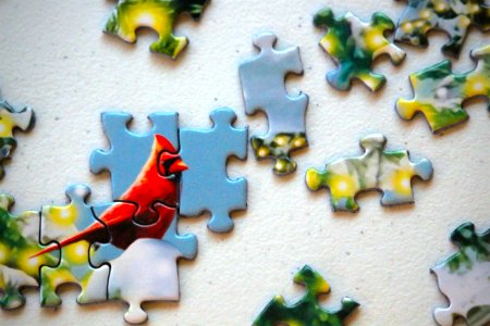 Christmas, Cardinal, Puzzle photo