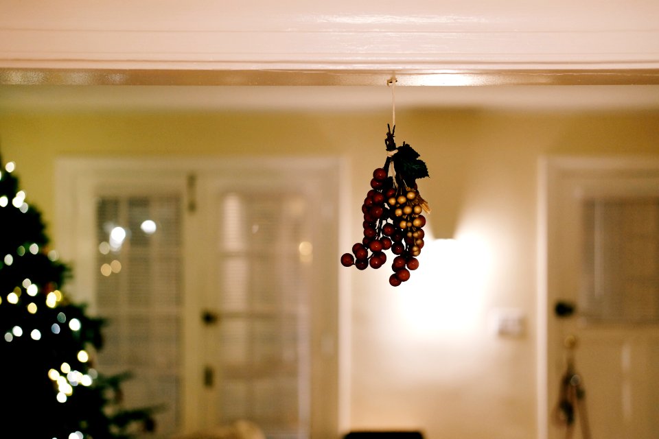 Xmas, Lights, Mistletoe