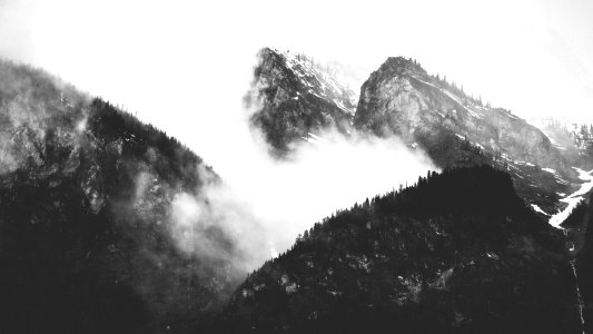 grayscale photo of mountain covered with trees and clouds photo