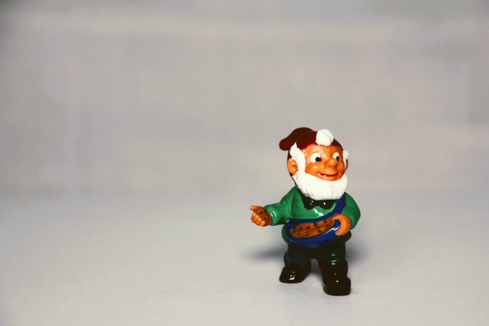 Flowers dwarf garden gnomes toys