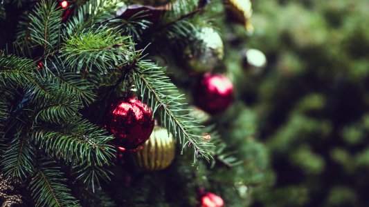 selective focus photograph of red and gold Christmas bauble balls
