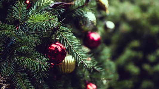 selective focus photograph of red and gold Christmas bauble balls photo