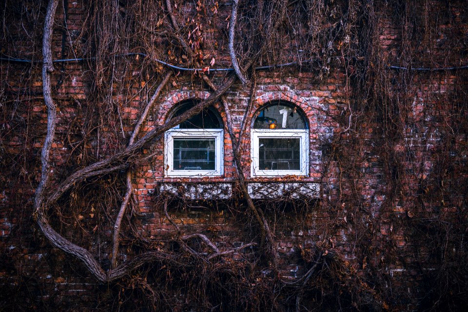 two white wooden window during daytime