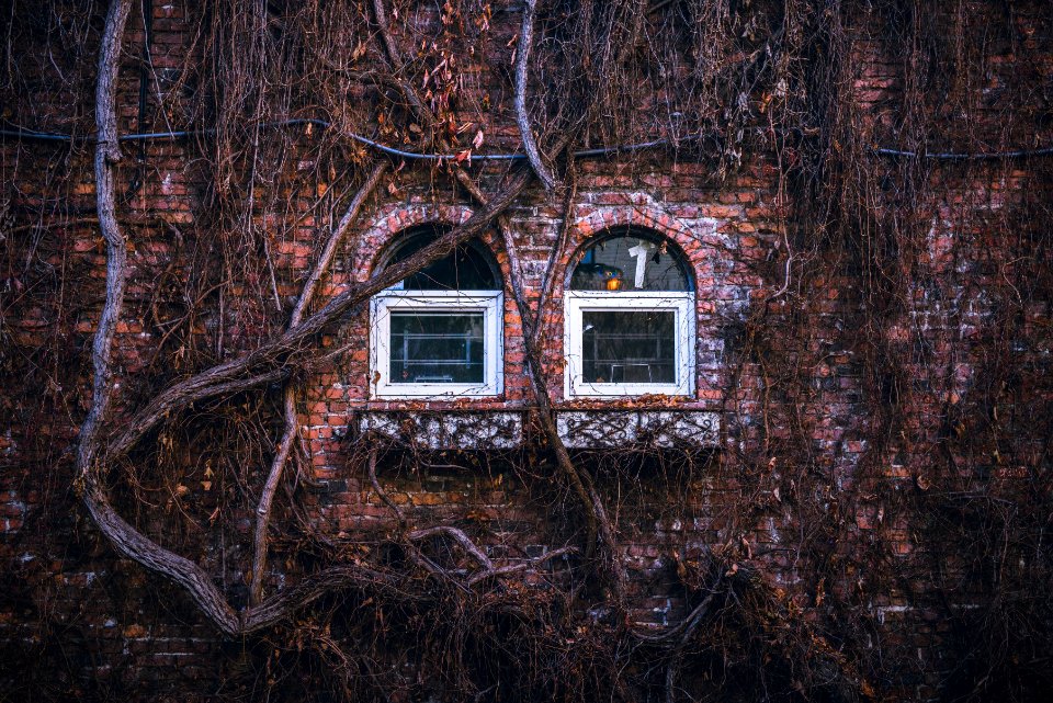 two white wooden window during daytime photo