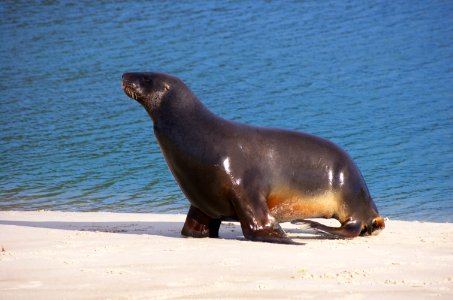 Aramoana, New zeal, In aramoana