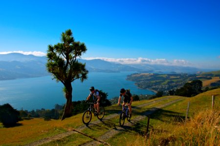 In dunedin, New zeal photo