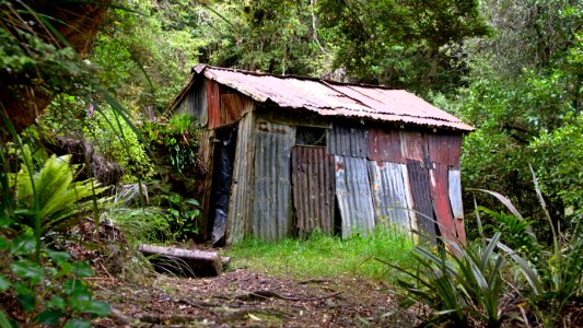 Otago, New zeal, Evansdale