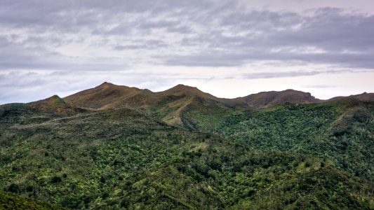 Otago, New zeal, Upper waitati