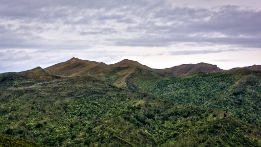 Otago, New zeal, Upper waitati photo