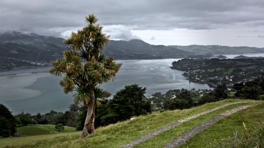 Dunedin, New zeal, Otago photo