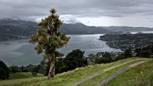 Dunedin, New zeal, Otago