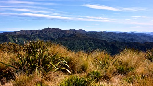 New zeal, Swampy summit, North taieri