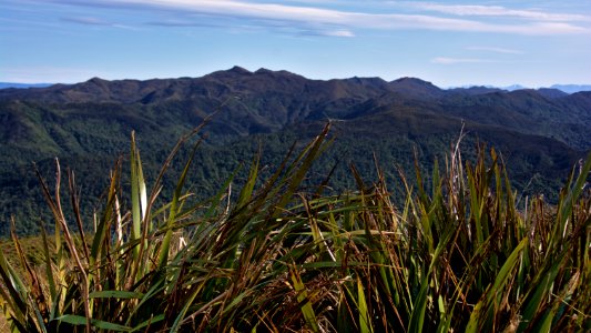 New zeal, Swampy summit, North taieri
