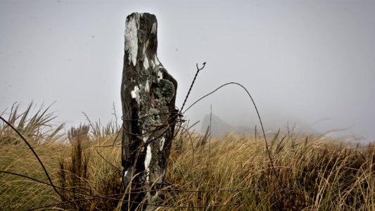 New zeal, Silverpeaks road, Mount allan