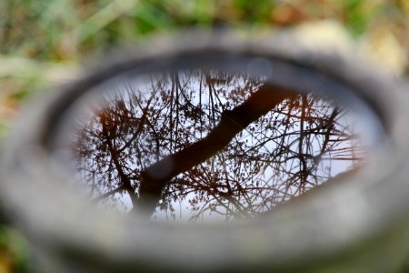 Munich, Germany, Water bowl
