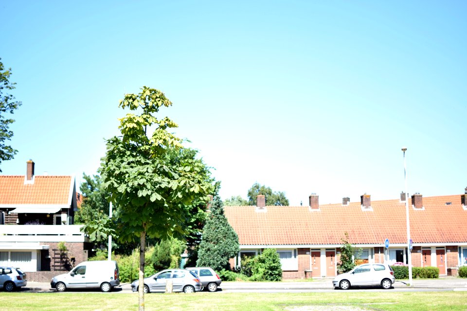 Amsterdam, Amsterdamnoord, Netherl photo