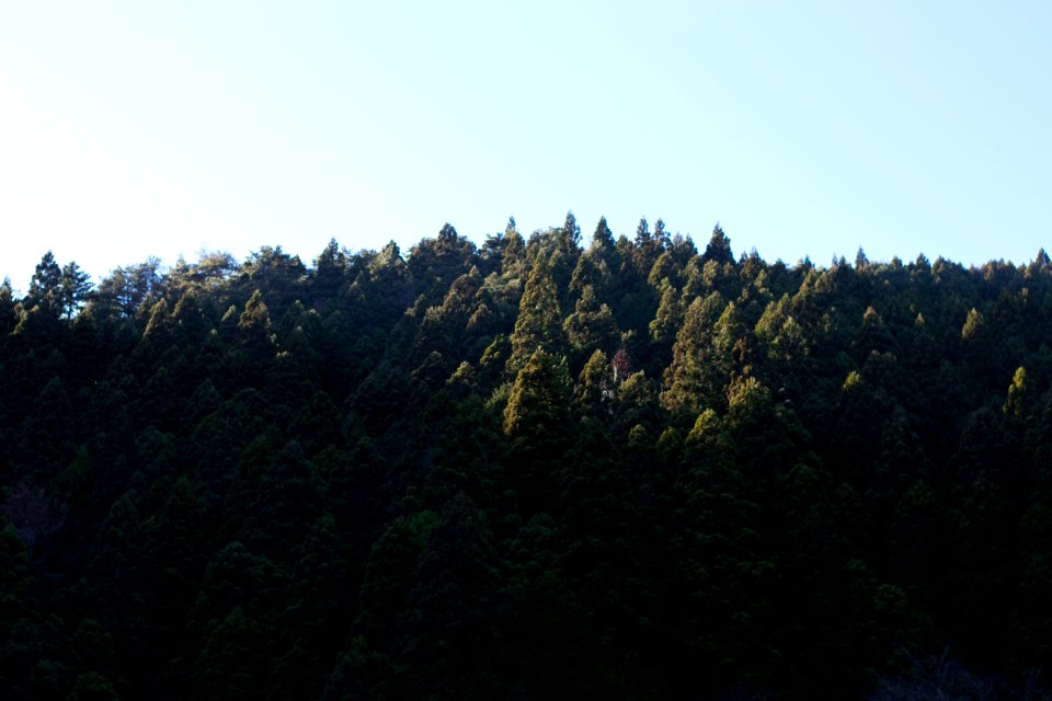 Okutama, Japan, Nature