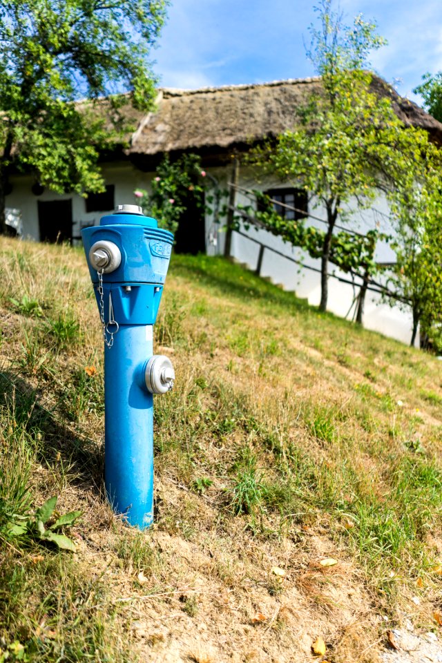 Heiligenbrunn, Austria, Grass